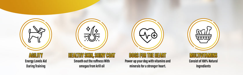 Dog Multivitamin, Chewable