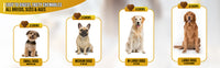 Dog Multivitamin, Chewable