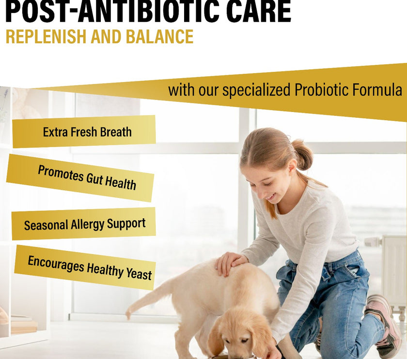 Probiotics for Dogs - 150 Chews | Duck Flavored